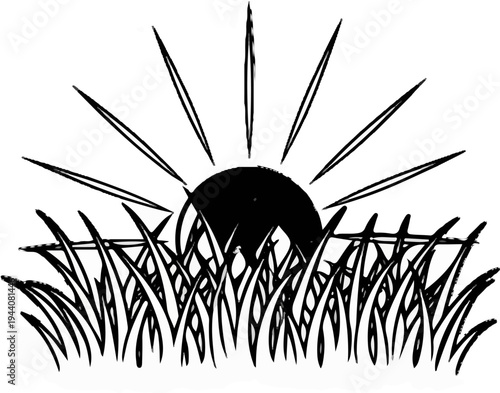 A stylized sun rises behind tall blades of grass in a simple illustration