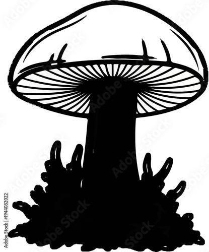 Black and white illustration of a mushroom with gills and a textured base