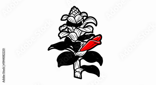 Stylized illustration of a ginger flower with black leaves and a red bud