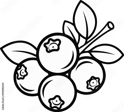 Delicate outline illustration of a cluster of ripe blueberries with leaves