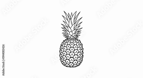 Detailed line drawing of a pineapple with a crown of spiky leaves against a white background