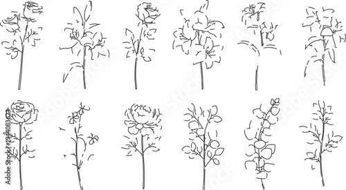 Set of 12 Hand-Drawn Outline Flower and Plant Vector Illustrations for Botanical Designs, Wedding Invitations, and Nature-Themed Graphics