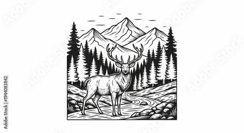 Stag stands by stream in forested mountains