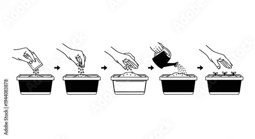 Steps showing how to plant seeds, water them, and watch them sprout