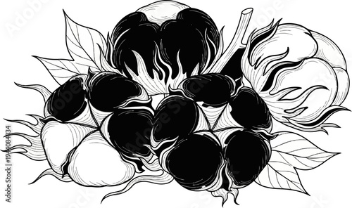 Stylized artistic rendering of a cotton plant with bolls and leaves