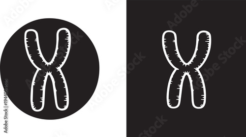 Chromosomes in cell division a comparative illustration