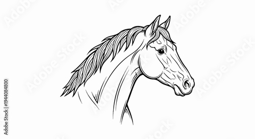 Majestic equine head and neck, depicted in a striking black and white line drawing