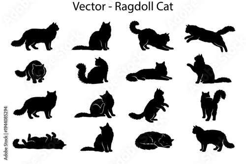 Ragdoll cat silhouettes. Vector collection of cat silhouettes in different poses. 