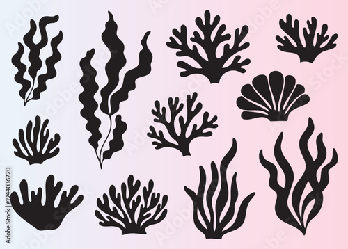 Assorted seaweed and coral illustrations in monochrome style