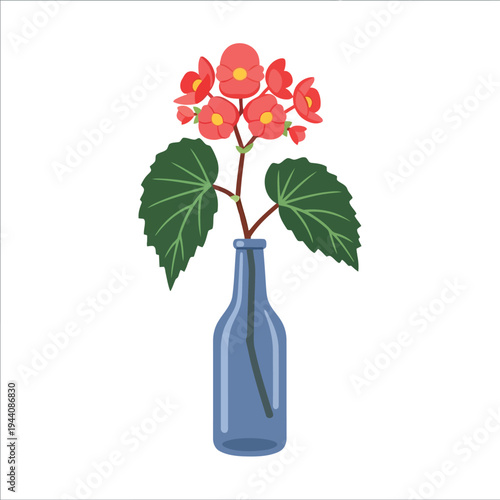 Vector illustration of pink begonia flowers in blue glass vase on white background