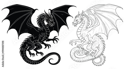 Elegant black and white illustration of mythical dragons in contrasting styles Vector