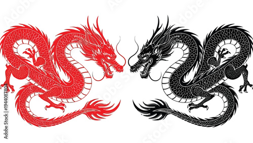 Mythical dragons in contrasting colors symbolizing duality and opposing forces Vector