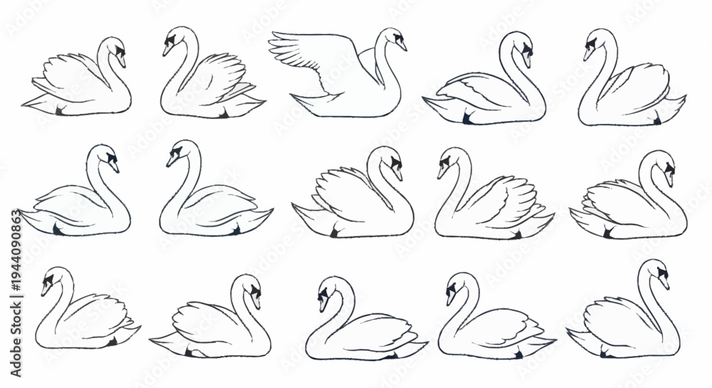 Fototapeta premium Collection of elegant swan illustrations in various poses.