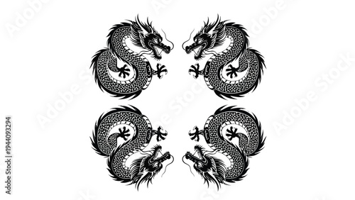 Four stylized dragons symmetrically arranged in a circular formation with intricate detailing Vector