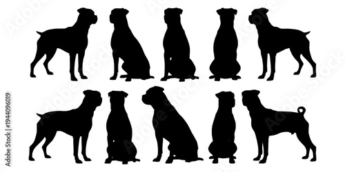 Rottweiler silhouette set. Rottweiler dog vector illustration. Rottweiler isolated on white background. Rottweiler silhouette clipart bundle. Vector illustration.
