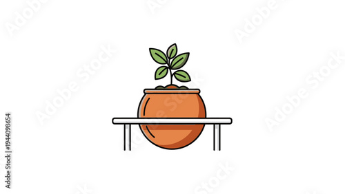 Small green plant in pot.