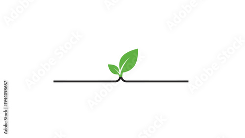 Small Green Sprout Emerging from Ground.