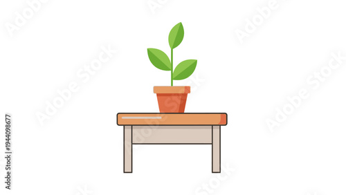 Small Potted Green Plant on Table.