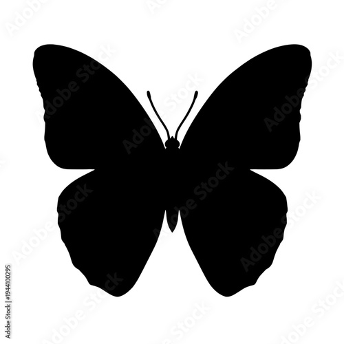 Butterfly silhouette vector illustration. Butterfly nature icon design. Butterfly isolated vector on white background. Butterfly clipart.