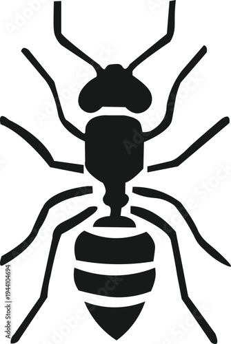 Silhouettes of an ant