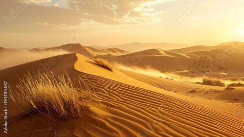 Golden desert dunes under a warm, hazy sky with sparse vegetation