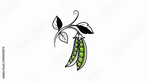 A stylized illustration of a pea pod with bright green peas