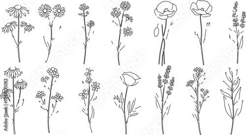  Hand-Drawn Outline Wildflower and Botanical Vector Illustrations for Nature-Inspired Designs and Floral Graphics