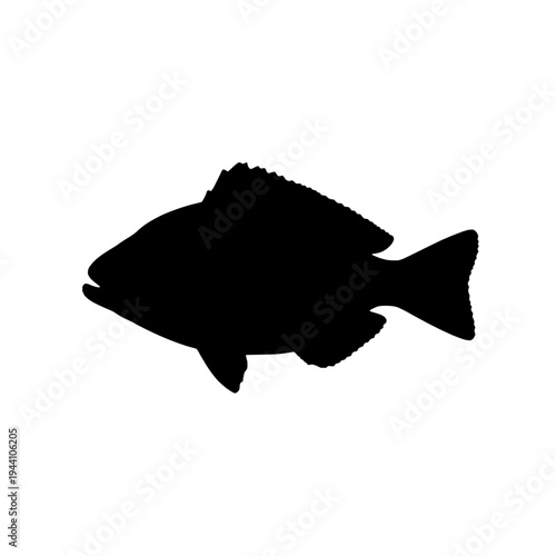 Fish silhouette vector illustration. Fish icon logo design. Fish symbol isolated on white background. Aquatic animal fish silhouette.