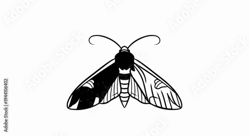 A stylized black and white illustration of a moth with patterned wings