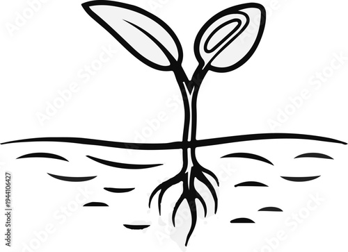 A simplistic line drawing shows a seedling with two leaves and roots growing in soil