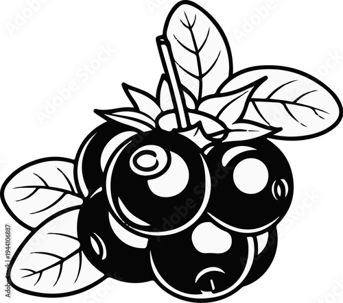 A stylized, black and white illustration of a cluster of berries and leaves
