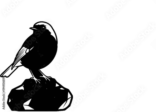 A stark black silhouette of a small bird perched on a rocky surface