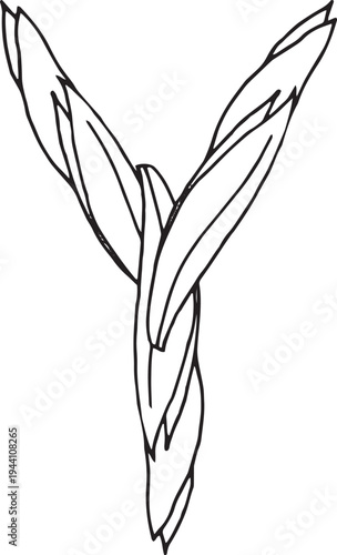 eps Doodle style letter Y drawn with tea leaves. Hand drawn black line art, simple sketch, raw tea leaves arranged in shape of Y organic texture, white background
