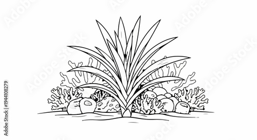 A stylized underwater scene with spiky plant, coral, and rocks