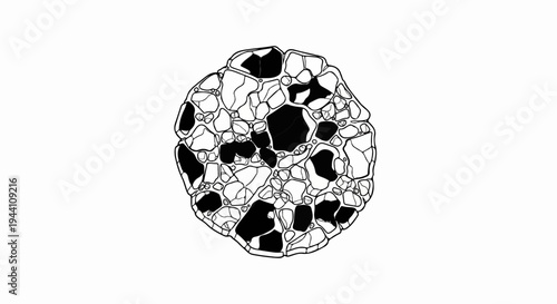 Abstract illustration of dark and light cells forming a rounded cluster