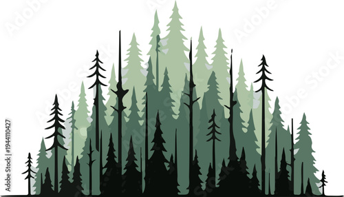 A dense, layered forest of evergreen trees in various shades of green and black