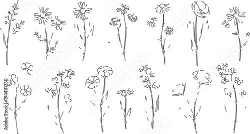 Set of 12 Hand-Drawn Wildflower Line Art Vector Illustrations for Botanical Designs, Nature-Themed Graphics, and Elegant Floral Decor