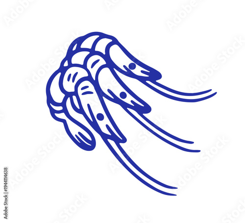 Shrimps, outline doodle drawing. Prawns, sea coastal food, contour sketch. Seafood, marine delicatessen, linear ink scribble. Hand-drawn vector illustration isolated on white background