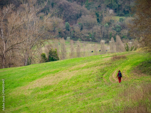 italia, toscana, firenze, barberino val d'elsa, campagna toscana.