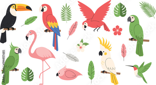 Cute Tropical Bird Cartoon Vector Set Featuring Toucan, Parrot, Flamingo, Cockatoo and Hummingbird with Feathers, Leaves, Flowers and Jungle Nature Elements.