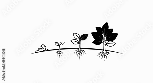 Stages of plant growth from seed to tree, showing roots and leaves