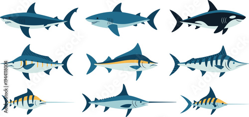 Ocean predator fish collection with shark marlin tuna and swordfish, marine wildlife sea creatures vector illustration set