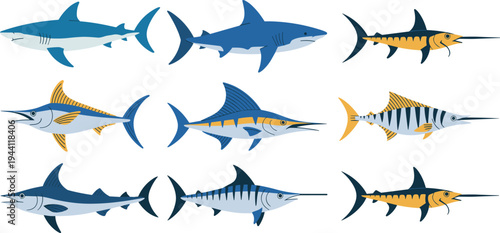 Ocean predator fish collection with sharks marlin swordfish and tuna, marine wildlife sea creatures vector illustration set
