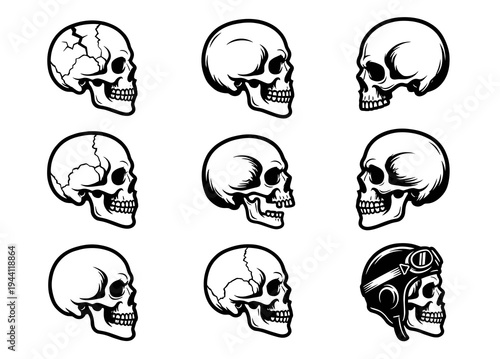 Human skull vector set featuring multiple side profile views with cranial suture lines, including one cool biker skeleton wearing a classic retro helmet and vintage riding goggles.