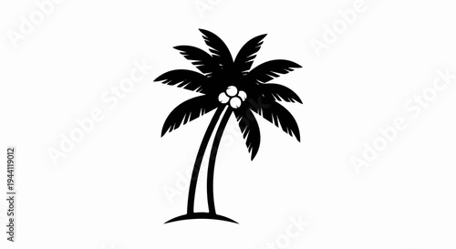 Stylized black silhouette of a tropical palm tree with coconuts