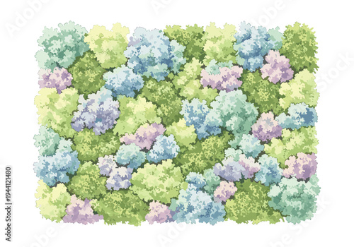Top view illustration of dense, colorful hydrangea bushes in pastel shades of green, blue, and purple