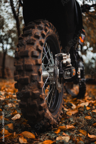 Rear view of an off-road motorcycle in autumn forest on fallen leaves.