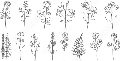 Set of 14 Hand-Drawn Outline Flower and Leaf Vector Illustrations for Botanical Designs, Wedding Invitations, and Nature-Themed Graphics