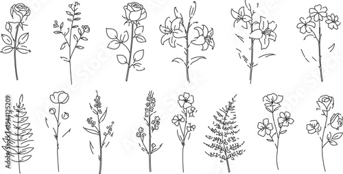 Set of 14 Hand-Drawn Outline Flower and Leaf Vector Icons for Botanical Designs, Wedding Invitations, and Nature-Themed Graphics