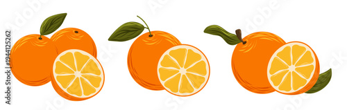 Vector set of fresh oranges with slices and green leaves isolated on white background. Bright citrus fruit illustration.